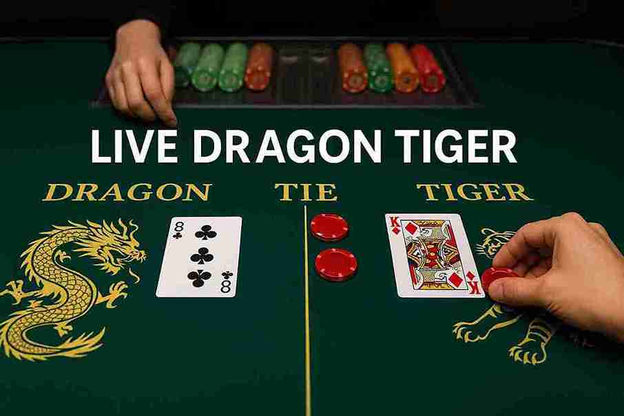 Live Dragon Tiger 86BET